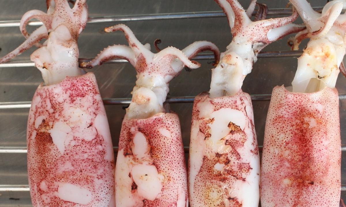 Calamari ripieni di pappa al pomodoro. Di Mary e Arturo Scarci